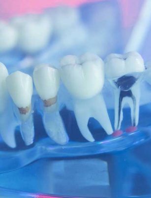 Departments 4 woodbridge Dentistry